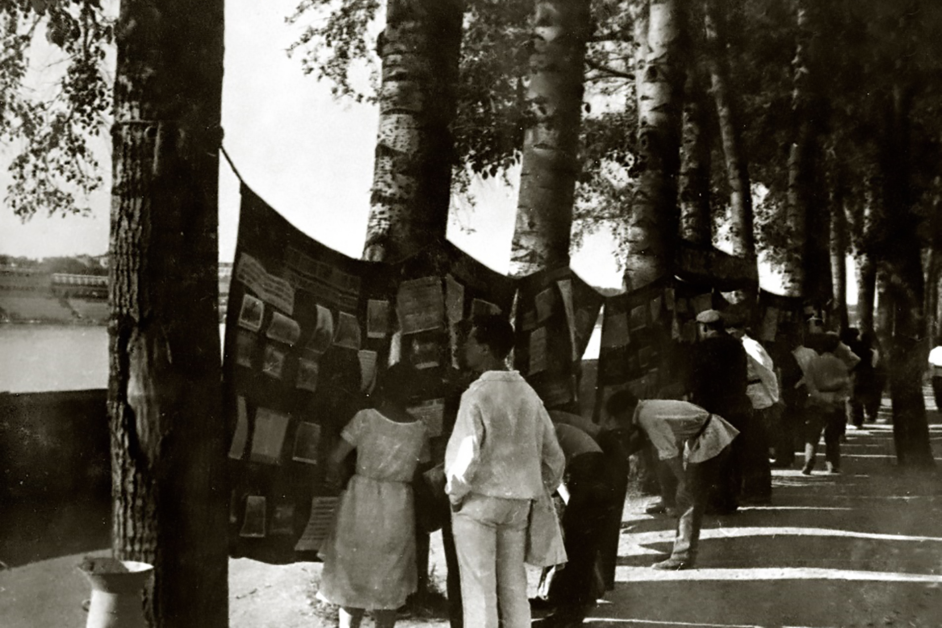 Лекционная и выставочная работа