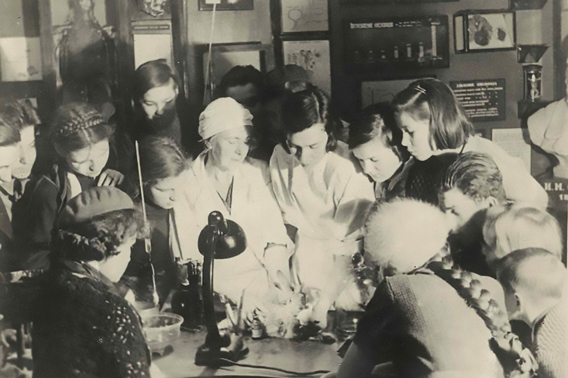 Курсы Красного Креста